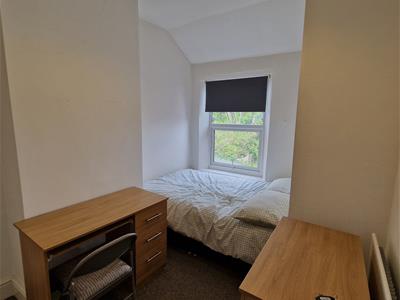 Picture 13